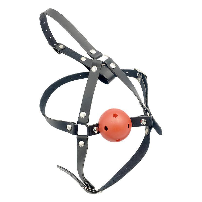 THORN GARDEN™ Harness type mesh mouth plug free shipping