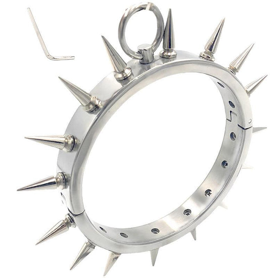 THORN GARDEN™ 0.55kg 2cm high stainless steel bdsm collar and free shipping