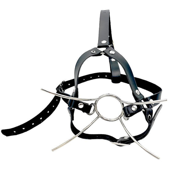 THORN GARDEN™ Stainless steel harness type forced mouth opener free shipping