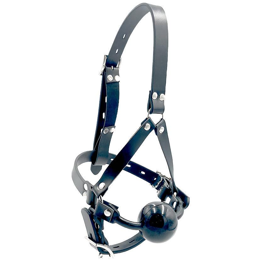THORN GARDEN™ Harness type silicone ball gag free shipping
