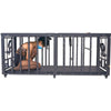 2-in-1 Bondage Confinement Cage