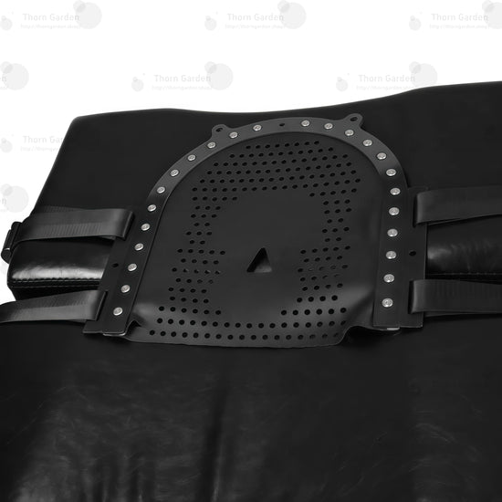 Full view of heavy-duty black leather face restraint harness with adjustable metal buckles and O-ring