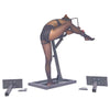 THORN GARDEN™ kneeling  bondage rack - free shipping