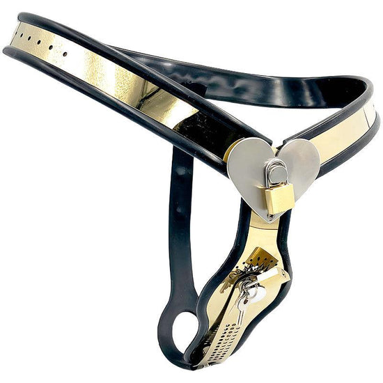 THORN GARDEN™ Titanium female chastity belt free shipping