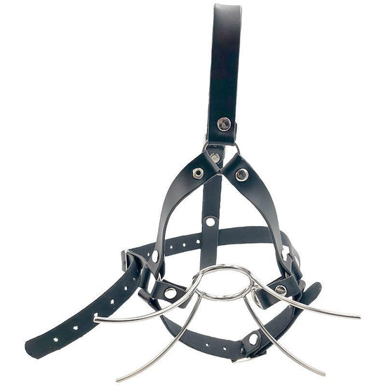 THORN GARDEN™ Stainless steel harness type forced mouth opener free shipping