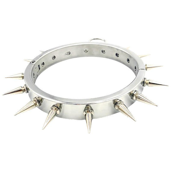 THORN GARDEN™ 0.55kg 2cm high stainless steel bdsm collar and free shipping