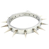 THORN GARDEN™ 0.55kg 2cm high stainless steel bdsm collar and free shipping