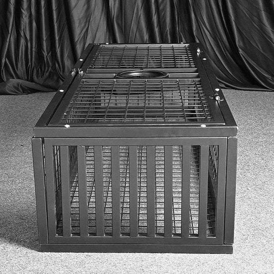 THORN GARDEN™ bdsm metal punishment standing cage free shipping