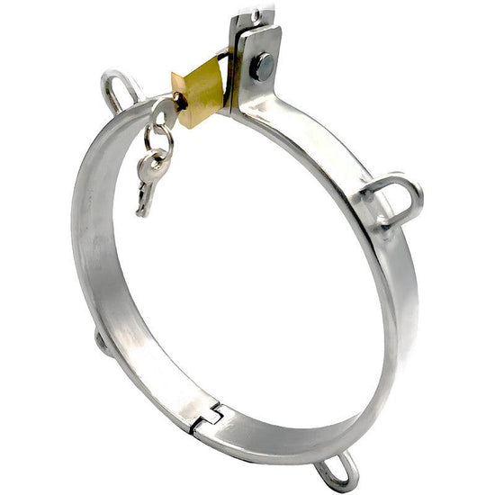 THORN GARDEN™ 0.5kg 2cm high stainless steel bdsm collar and free shipping