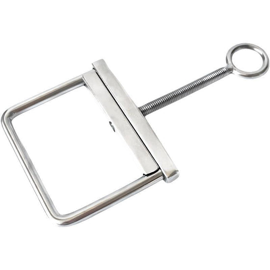 THORN GARDEN™ 118g Stainless Steel Scrotum Squeeze Clamps