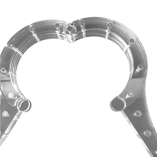 THORN GARDEN™ transparent wrist and neck restraint pillory free shipping