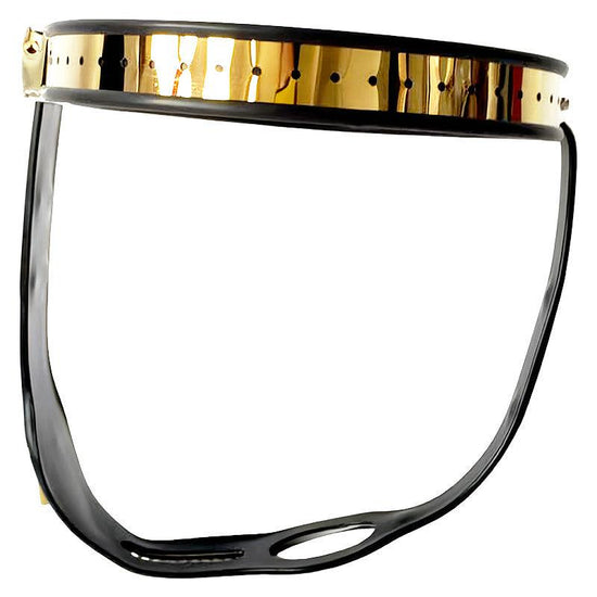 THORN GARDEN™ Titanium female chastity belt Can be used with anal and vaginal plugs