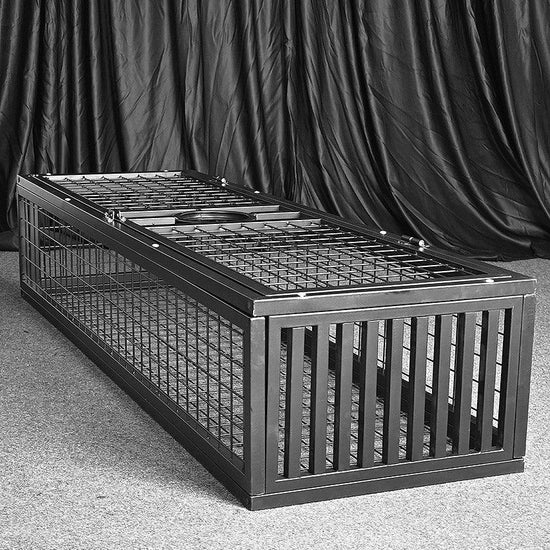 THORN GARDEN™ bdsm metal punishment standing cage free shipping