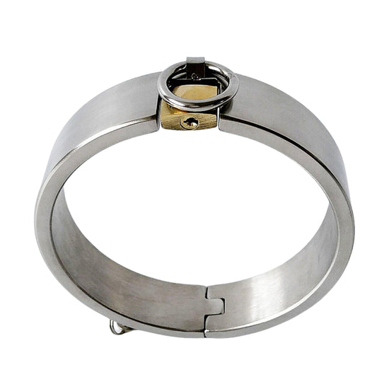 THORN GARDEN™ High-Quality Stainless Steel Neck Collar for BDSM Play