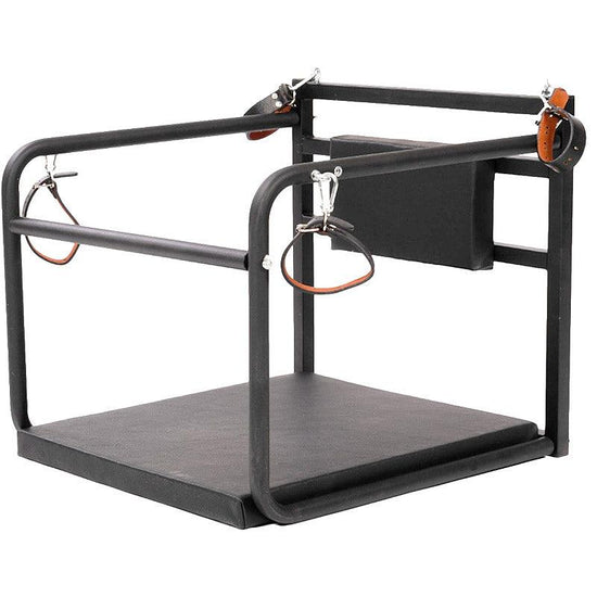 THORN GARDEN™ bdsm chair frame - free shipping