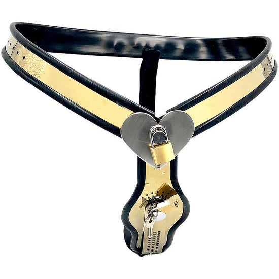THORN GARDEN™ Titanium female chastity belt free shipping