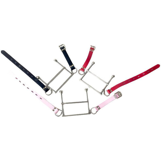 THORN GARDEN™ instrument of punishment Stainless Steel Tongue clip free shipping