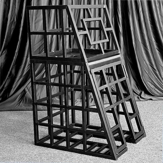 THORN GARDEN™ bdsm metal body bondage cage free shipping