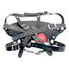 THORN GARDEN™ Harness type eye mask and gag free shipping