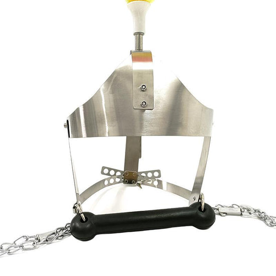 THORN GARDEN™ Stainless steel harness mouth plug headgear free shipping