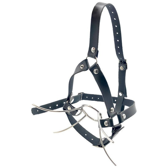 THORN GARDEN™ Stainless steel harness type forced mouth opener free shipping