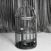 THORN GARDEN™ Подвесная клетка для птиц Bdsm - Бесплатная доставка
