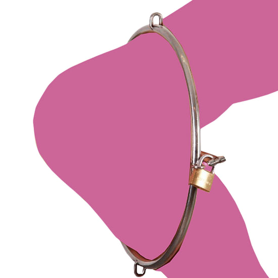 THORN GARDEN™ High-Quality Stainless Steel hip ring for BDSM Play