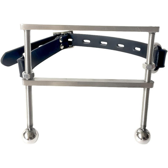 THORN GARDEN™ instrument of punishment Stainless Steel Tongue clip free shipping