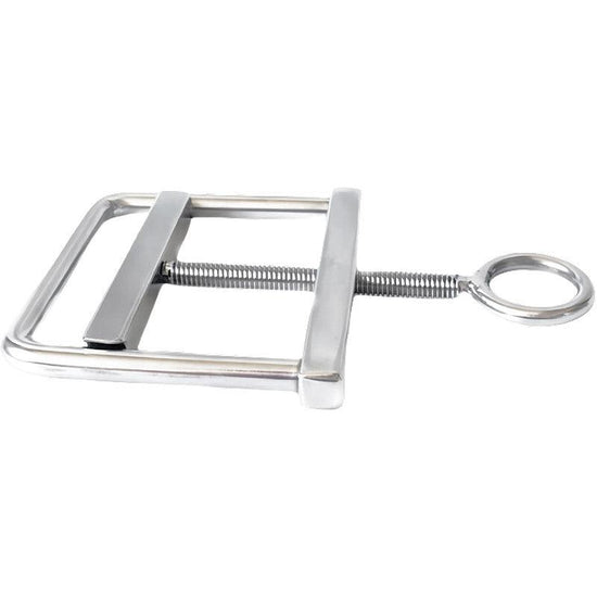 THORN GARDEN™ 118g Stainless Steel Scrotum Squeeze Clamps