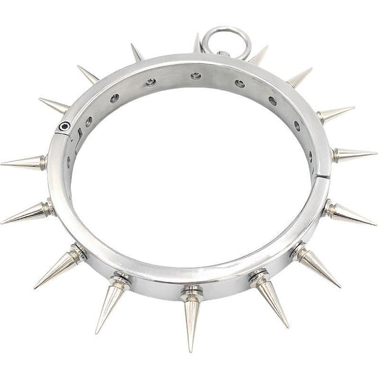 THORN GARDEN™ 0.55kg 2cm high stainless steel bdsm collar and free shipping