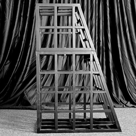 THORN GARDEN™ bdsm metal body bondage cage free shipping