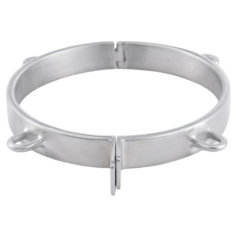 THORN GARDEN™ 0.5kg 2cm high stainless steel bdsm collar and free shipping