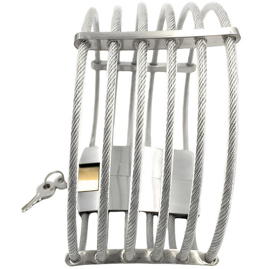 THORN GARDEN™ 0.5kg stainless steel wire slave collar free shipping