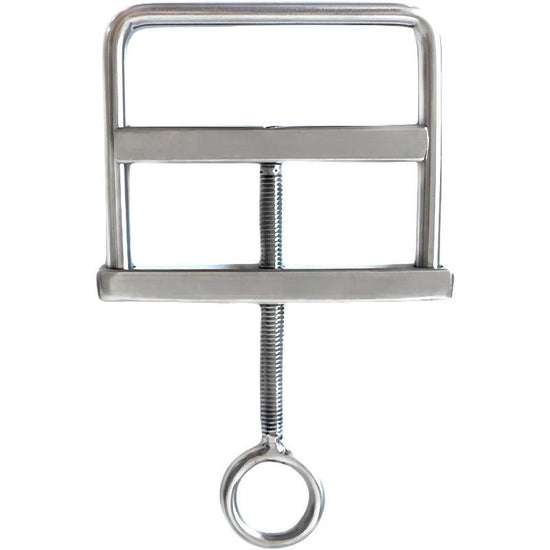 THORN GARDEN™ 118g Stainless Steel Scrotum Squeeze Clamps