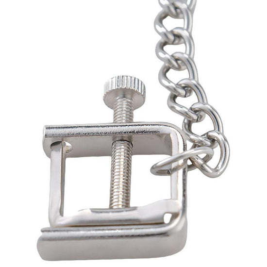 THORN GARDEN™ BDSM Stainless Steel Nipple Clamps with Chain Connecting