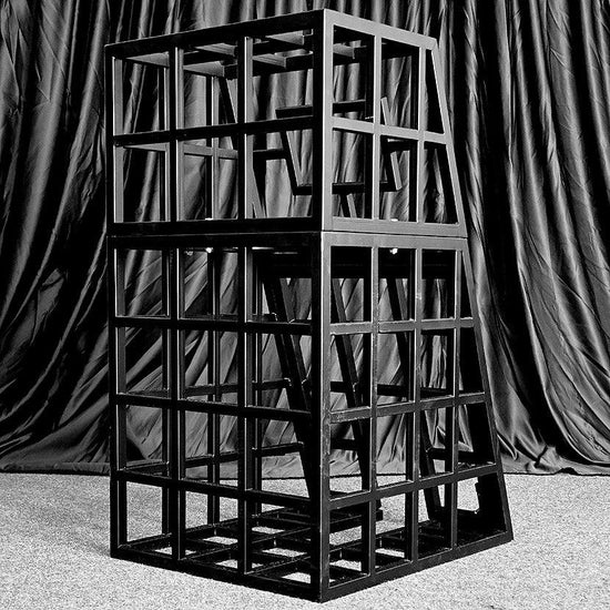 THORN GARDEN™ bdsm metal body bondage cage free shipping