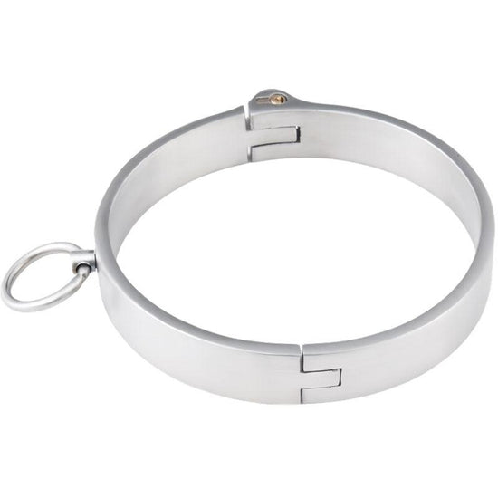THORN GARDEN™ 0.37kg 2.2cm high stainless steel bdsm collar and free shipping
