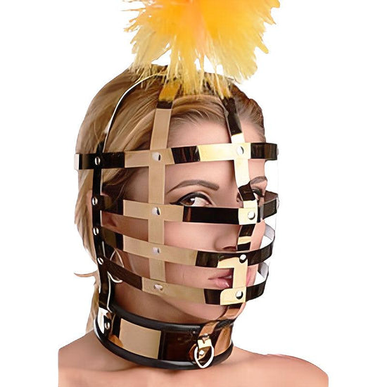 THORN GARDEN™ bdsm titanium harness headgear free shipping