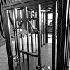 THORN GARDEN™ BDSM metal sleeping cage with free shipping