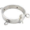THORN GARDEN™ 0.95kg 3cm high stainless steel bdsm collar and free shipping
