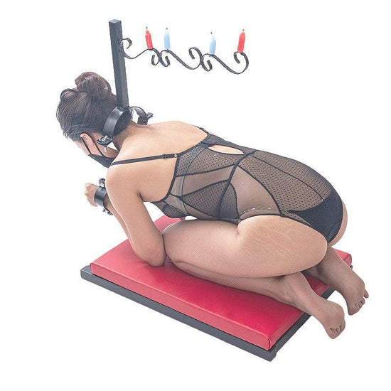 THORN GARDEN™ Restraint and Wax:Penalty kneeling metal restraint frame and free shipping