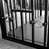 THORN GARDEN™ BDSM metal sleeping cage with free shipping