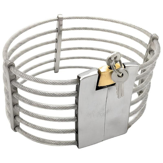 THORN GARDEN™ 0.5kg stainless steel wire slave collar free shipping