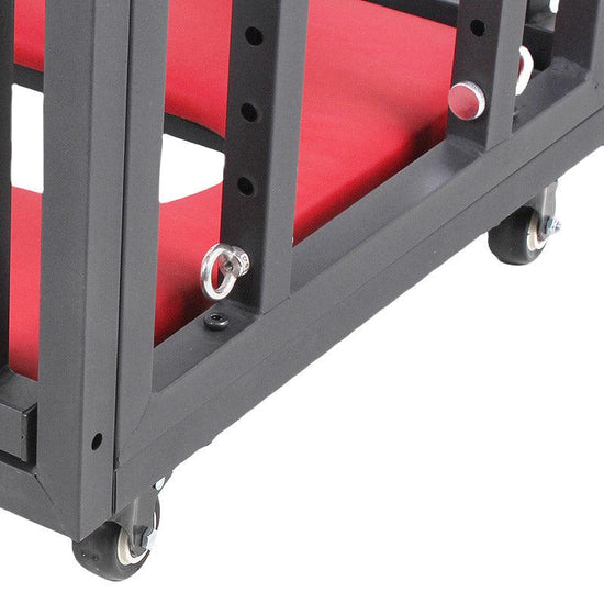 THORN GARDEN™ Small Suspended BDSM Cage