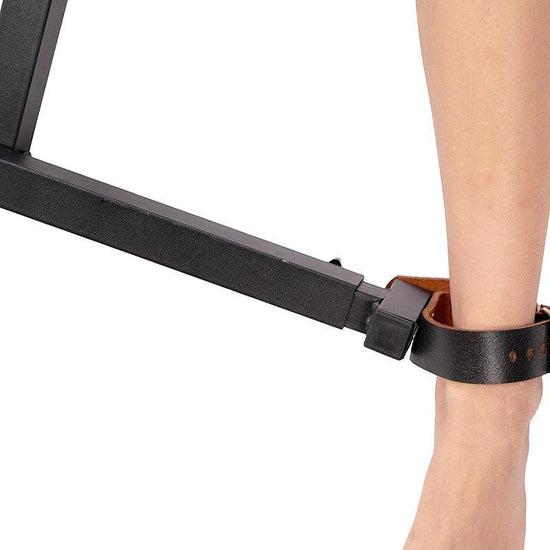 THORN GARDEN™ Hand, foot and neck integrated restraint device free shipping