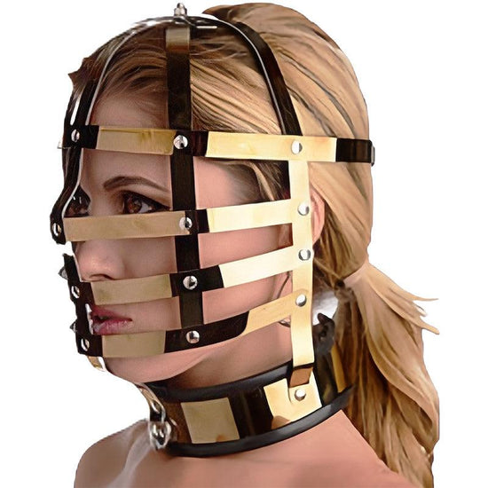 THORN GARDEN™ bdsm titanium harness headgear free shipping