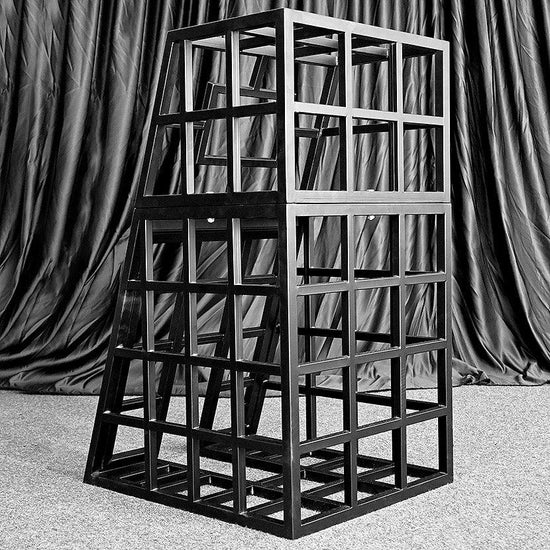 THORN GARDEN™ bdsm metal body bondage cage free shipping