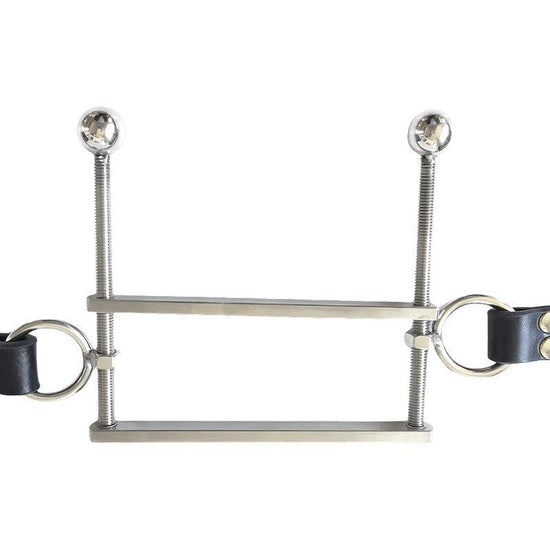 THORN GARDEN™ instrument of punishment Stainless Steel Tongue clip free shipping