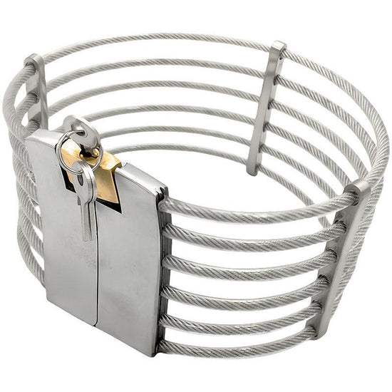 THORN GARDEN™ 0.5kg stainless steel wire slave collar free shipping