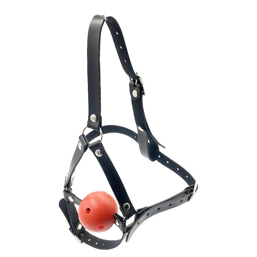 THORN GARDEN™ Harness type mesh mouth plug free shipping